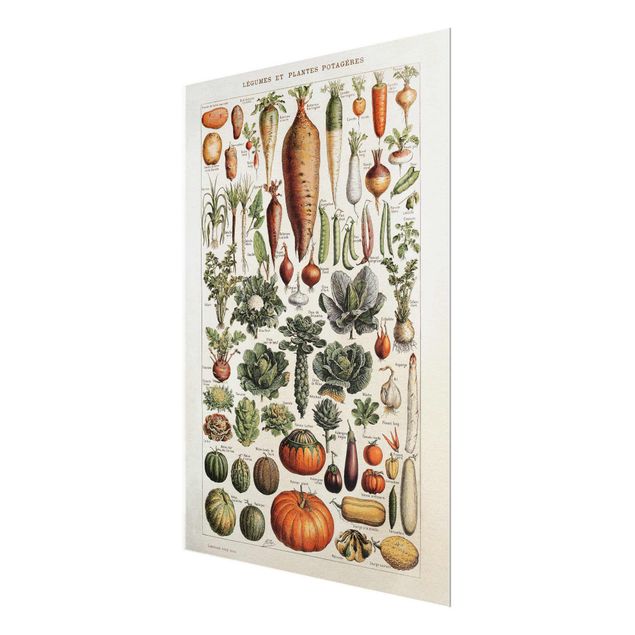 Cuadros Vintage Board Vegetables