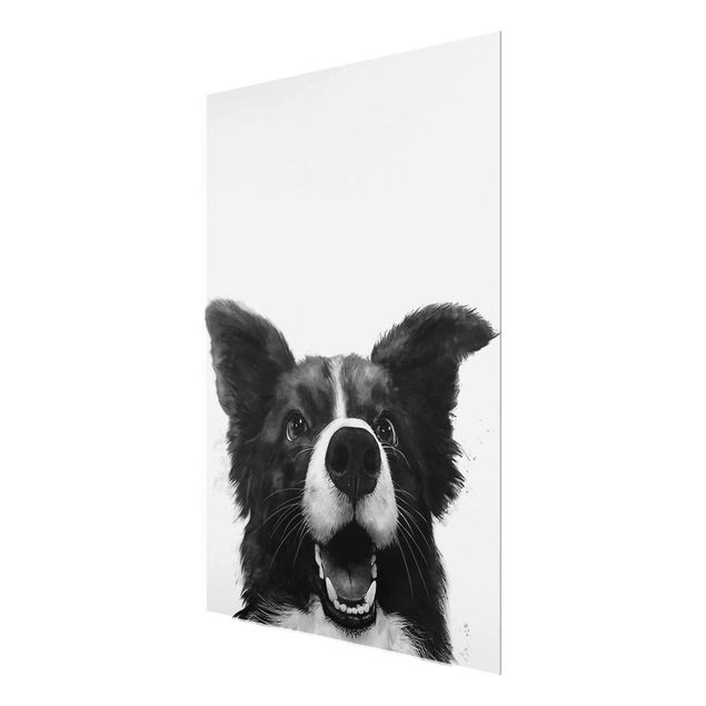 Reproducciónes de cuadros Illustration Dog Border Collie Black And White Painting