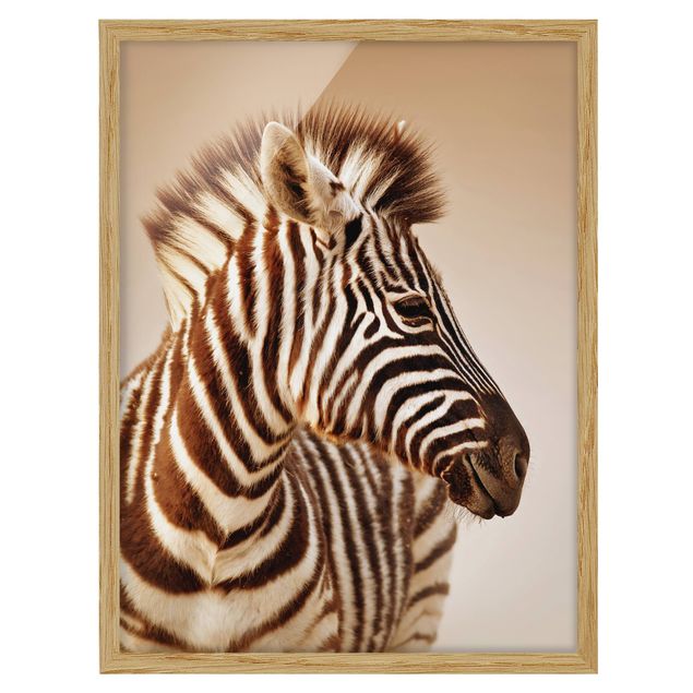 Cuadros africanos Zebra Baby Portrait