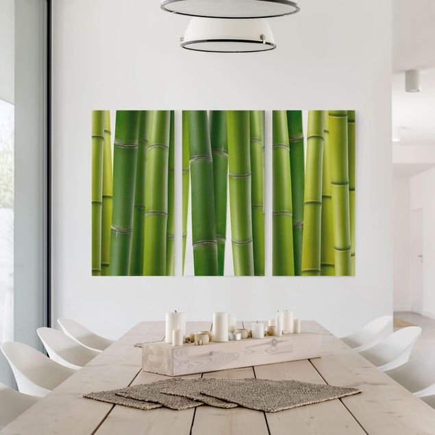 Cuadros de árboles Bamboo Plants