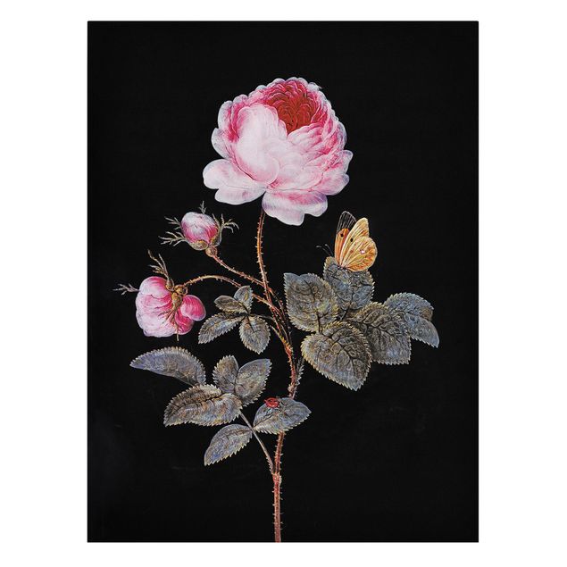 Lienzos mariposas Barbara Regina Dietzsch - The Hundred-Petalled Rose