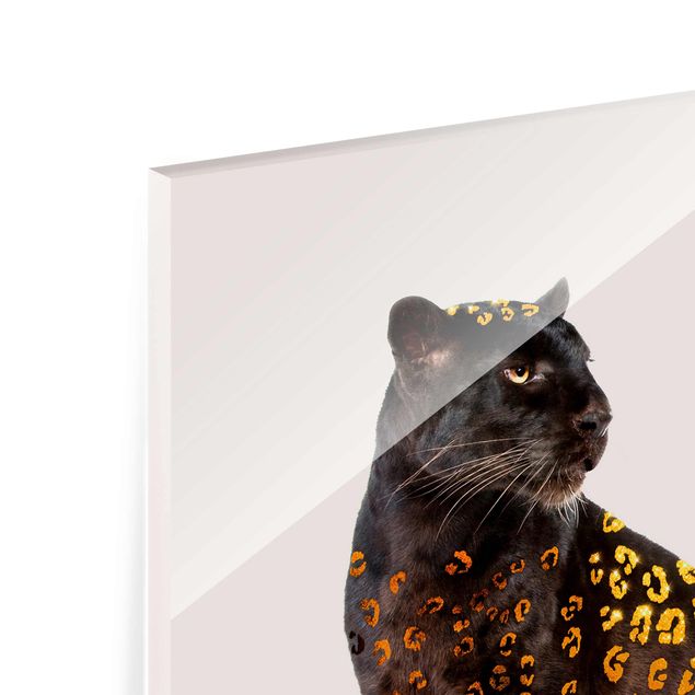 Tableros magnéticos de vidrio Golden Panthers