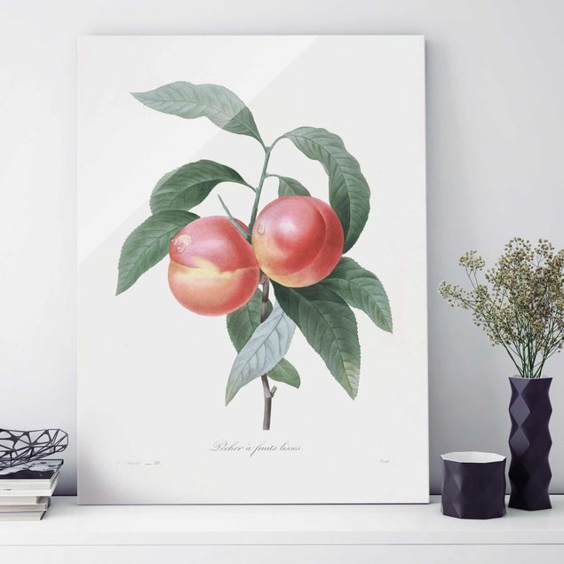 Decoración de cocinas Botany Vintage Illustration Peach