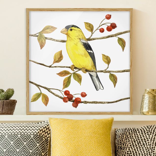 Decoración en la cocina Birds And Berries - American Goldfinch
