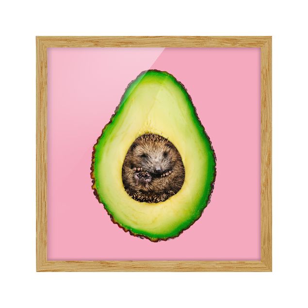 Pósters enmarcados de animales Avocado With Hedgehog