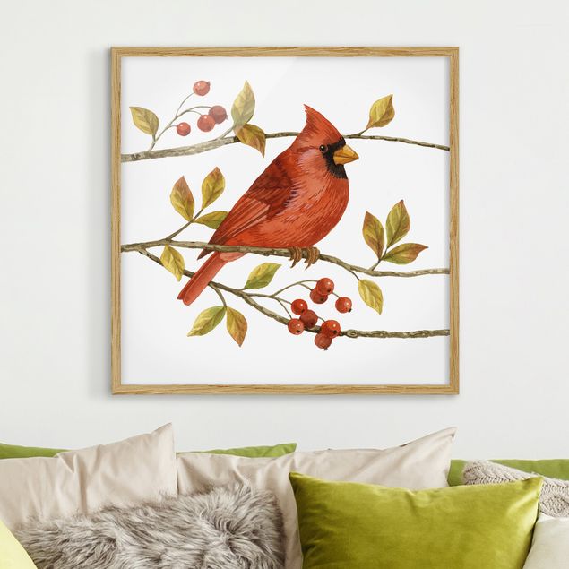 Pósters enmarcados vintage Birds And Berries - Northern Cardinal