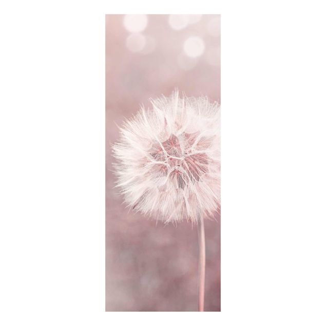 Cuadros flores Dandelion Bokeh Light Pink