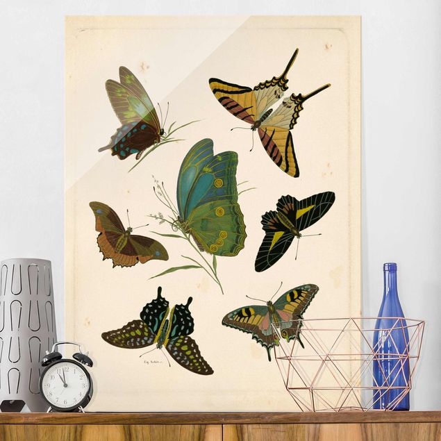 Decoración cocina Vintage Illustration Exotic Butterflies