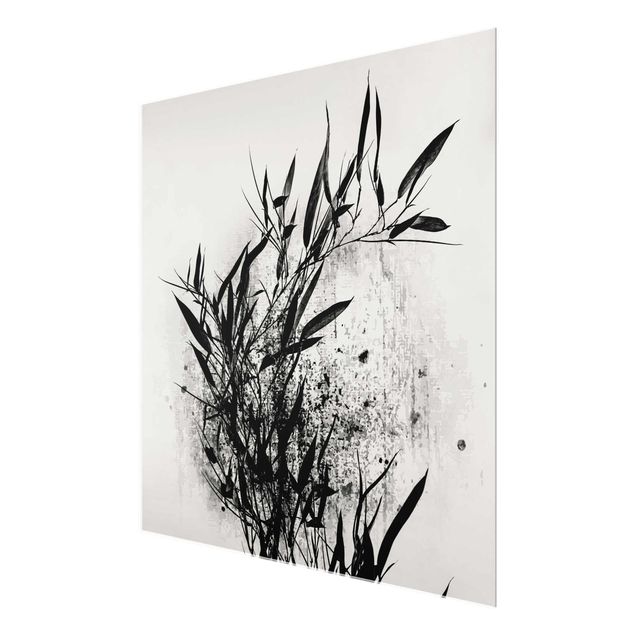Cuadros de cristal blanco y negro Graphical Plant World - Black Bamboo