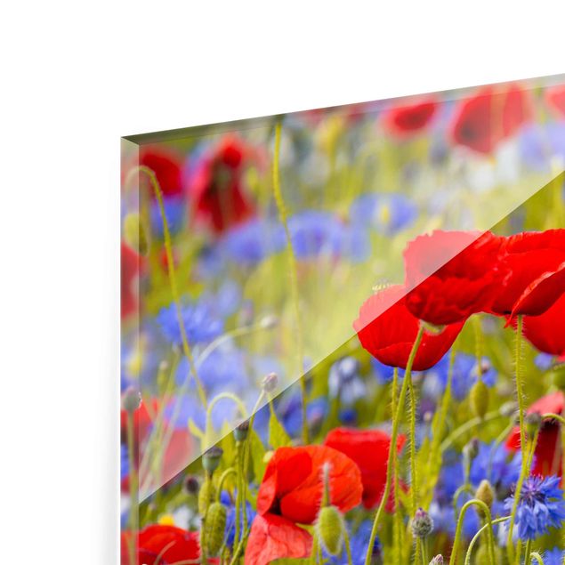Cuadro rojo Summer Meadow With Poppies And Cornflowers