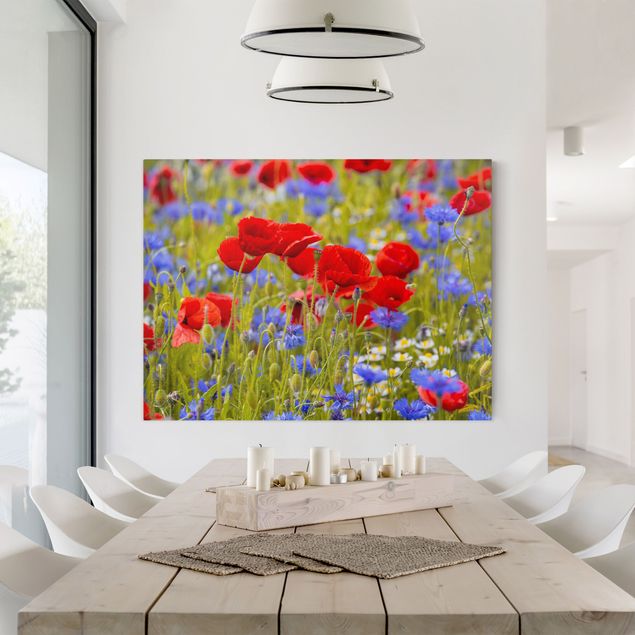 Lienzos de amapolas Summer Meadow With Poppies And Cornflowers