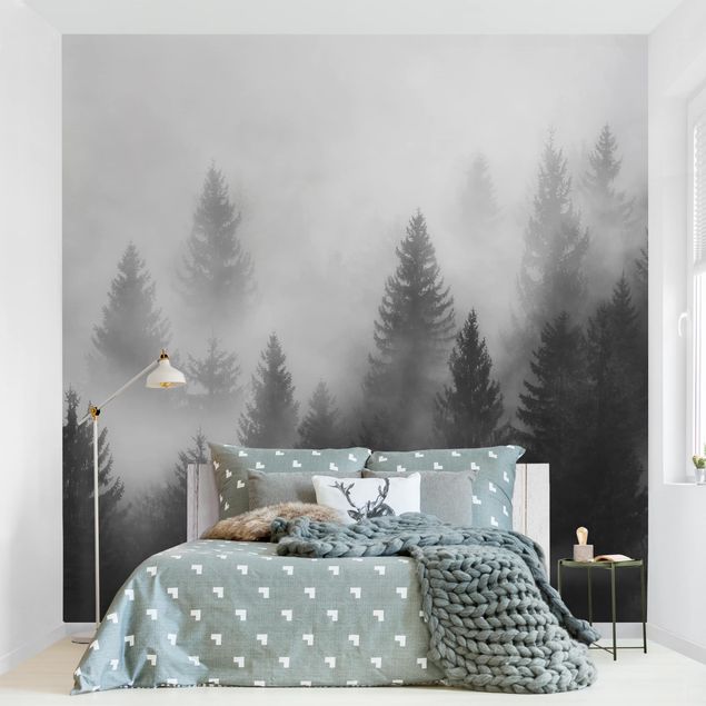Papel de pared Coniferous Forest In The Fog Black And White