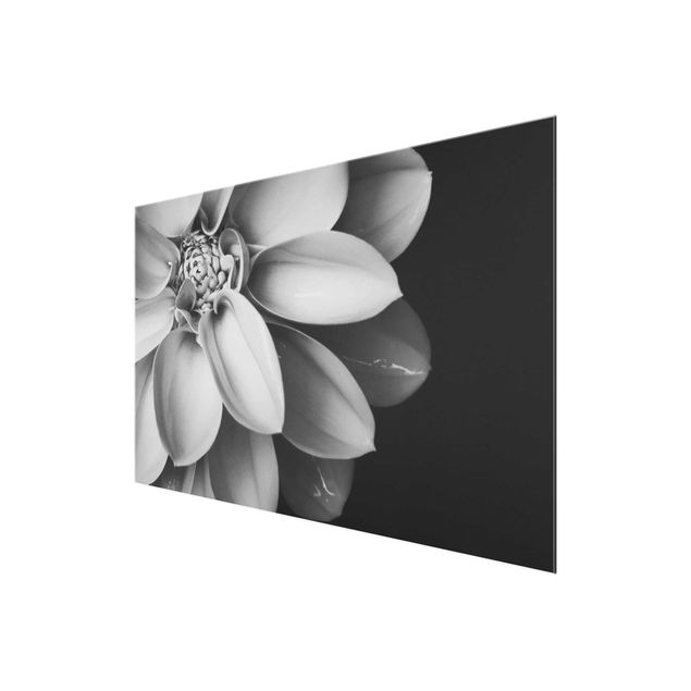 Cuadros decorativos In The Heart Of A Dahlia Black And White