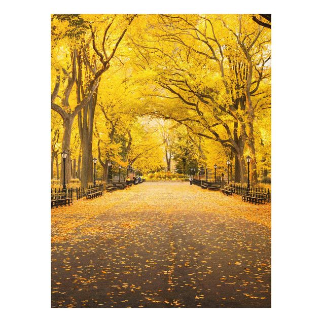 Cuadros de ciudades Autumn In Central Park