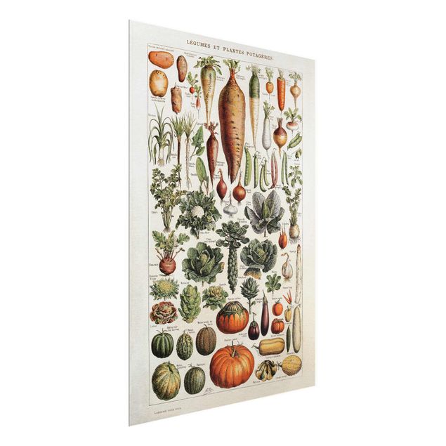 Cuadros plantas Vintage Board Vegetables