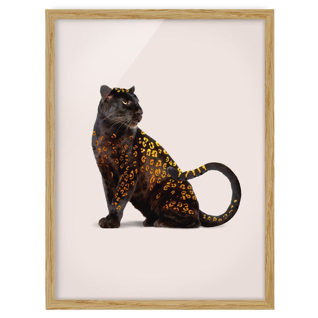 Reproducciónes de cuadros Golden Panthers