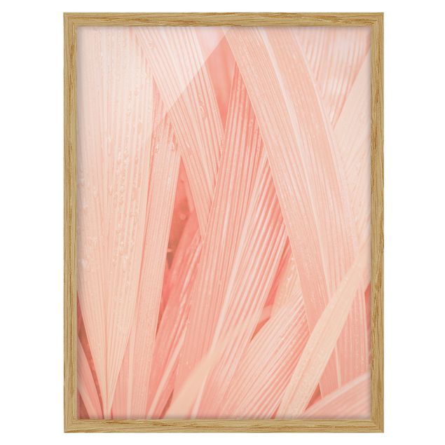 Cuadros flores Palm Leaves Light Pink