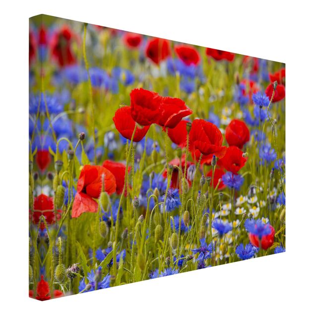 Cuadros en lienzo de flores Summer Meadow With Poppies And Cornflowers
