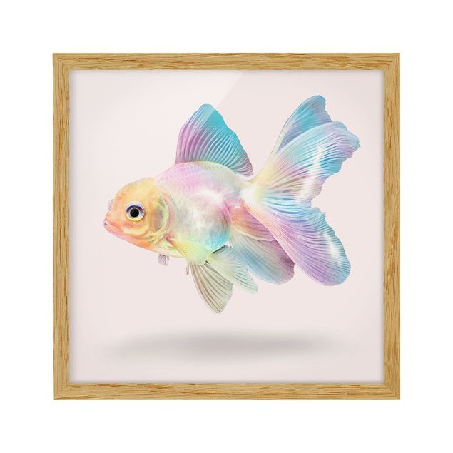 Pósters enmarcados de animales Fish In Pastel