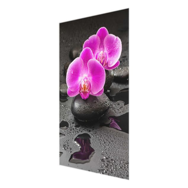 Cuadros de flores modernos Pink Orchid Flower On Stones With Drops