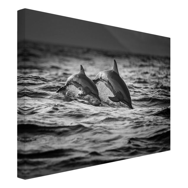 Lienzos en blanco y negro Two Jumping Dolphins
