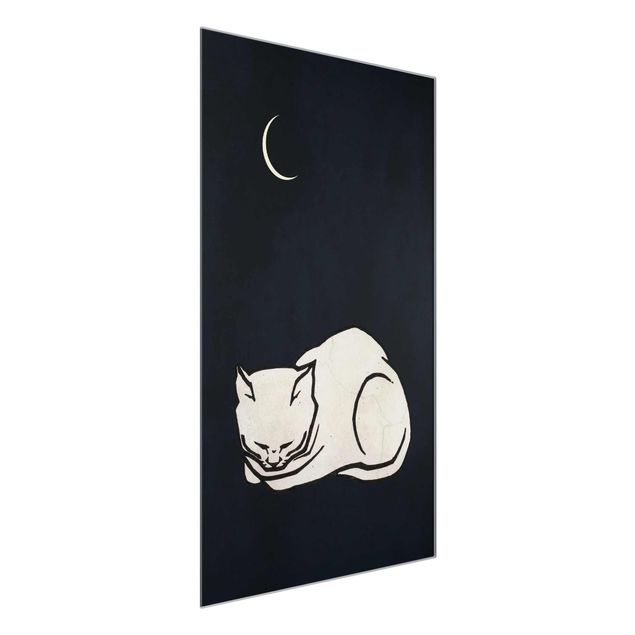 Cuadros de cristal animales Sleeping Cat Illustration