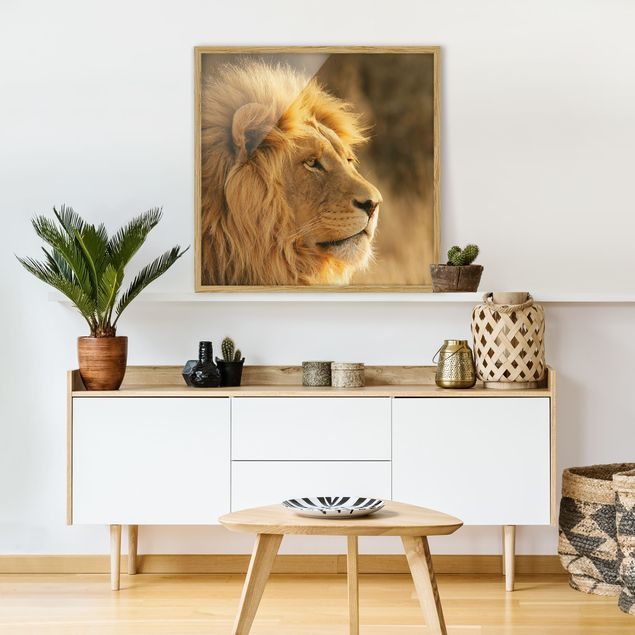 Cuadros león King Lion