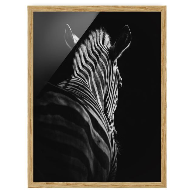 Pósters enmarcados de animales Dark Zebra Silhouette