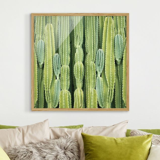 Pósters enmarcados flores Cactus Wall