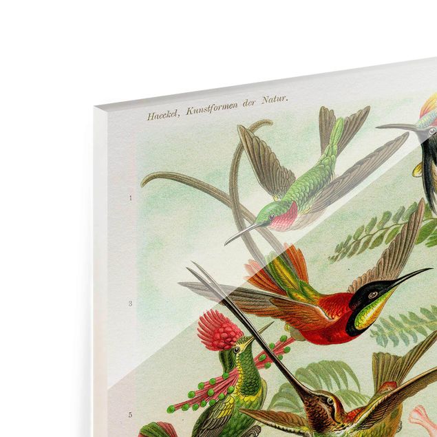 Tableros magnéticos de vidrio Vintage Board Hummingbirds