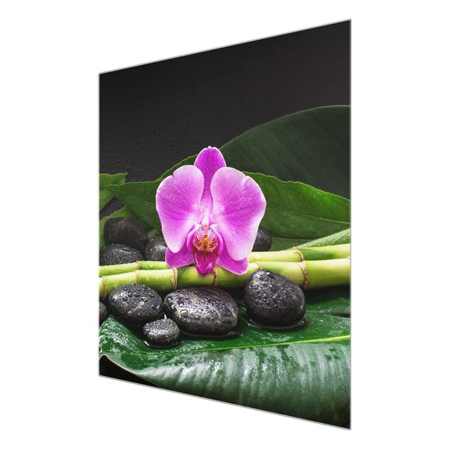 Cuadros de plantas naturales Green Bamboo With Orchid Flower