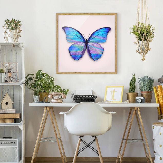 Cuadros de peces Holographic Butterfly