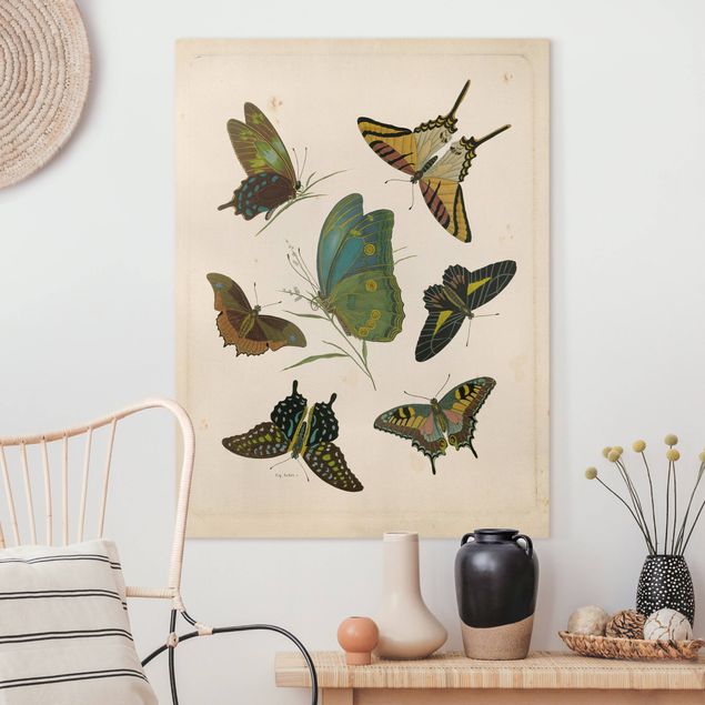 Decoración en la cocina Vintage Illustration Exotic Butterflies