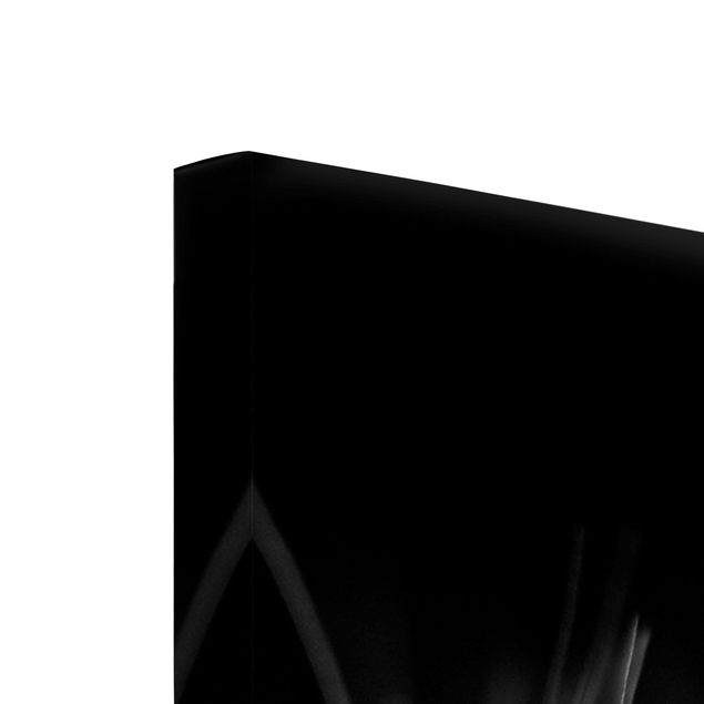 Cuadros modernos blanco y negro Moving Dandelions Close Up On Black Background