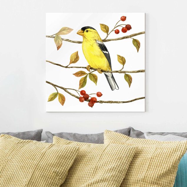Cuadros de cristal animales Birds And Berries - American Goldfinch
