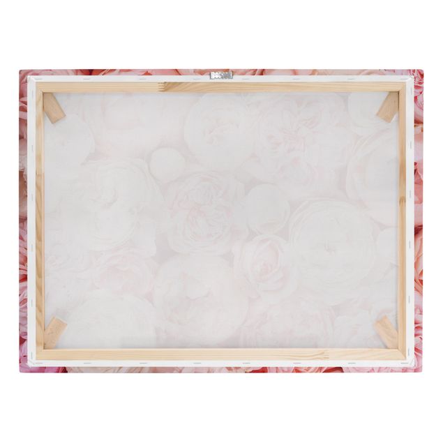 Cuadros en lienzo Roses Rosé Coral Shabby