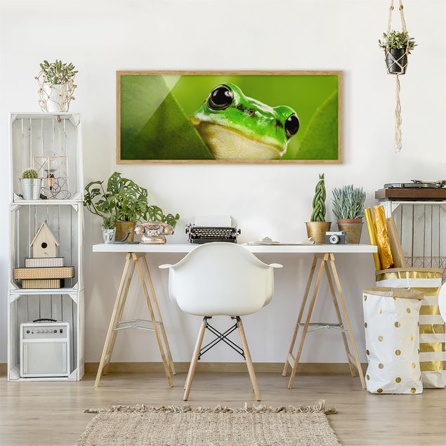 Cuadros decorativos modernos Frog