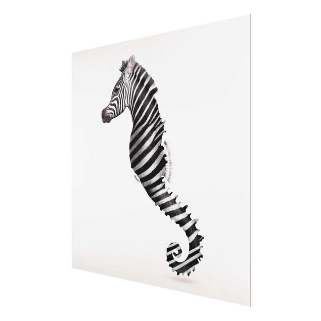 Cuadros de cristal blanco y negro Seahorse With Zebra Stripes