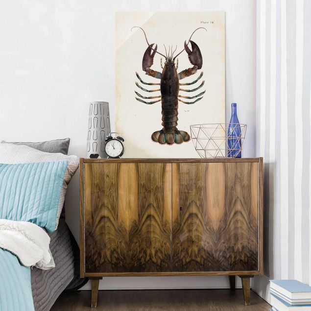 Cuadros de cristal animales Vintage Illustration Lobster