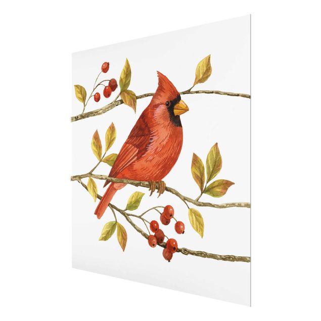 Tableros magnéticos de vidrio Birds And Berries - Northern Cardinal