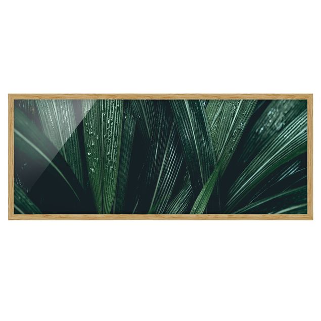 Cuadros de flores modernos Green Palm Leaves