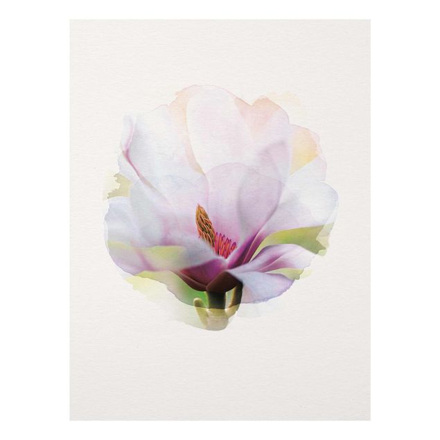 Cuadros flores WaterColours - Delicate Magnolia Blossom