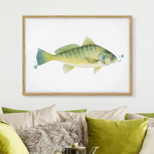 Cuadros de peces Color Catch - Perch