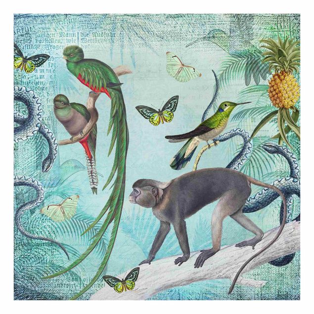 Cuadros de flores Colonial Style Collage - Monkeys And Birds Of Paradise