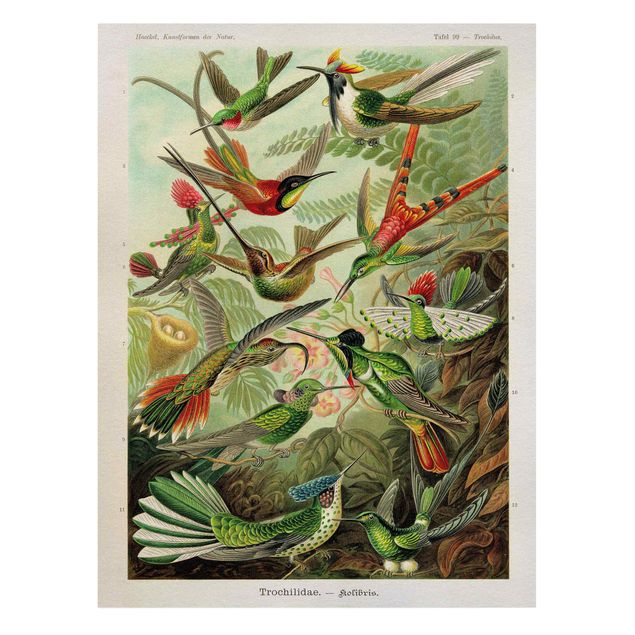 Cuadros de flores Vintage Board Hummingbirds