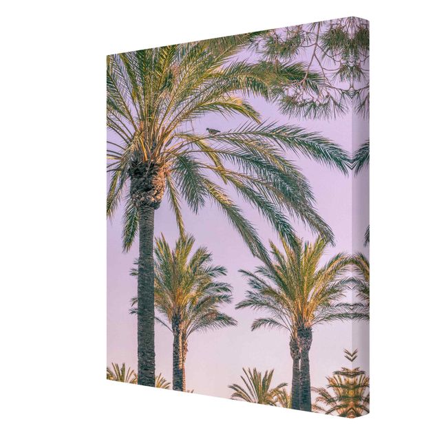 Cuadros de flores Palm Trees At Sunset