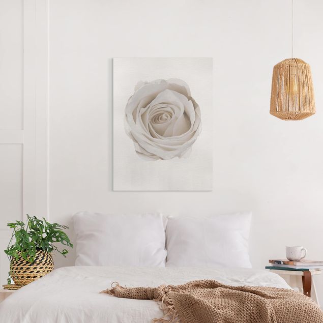Cuadros en lienzo de flores WaterColours - Pretty White Rose