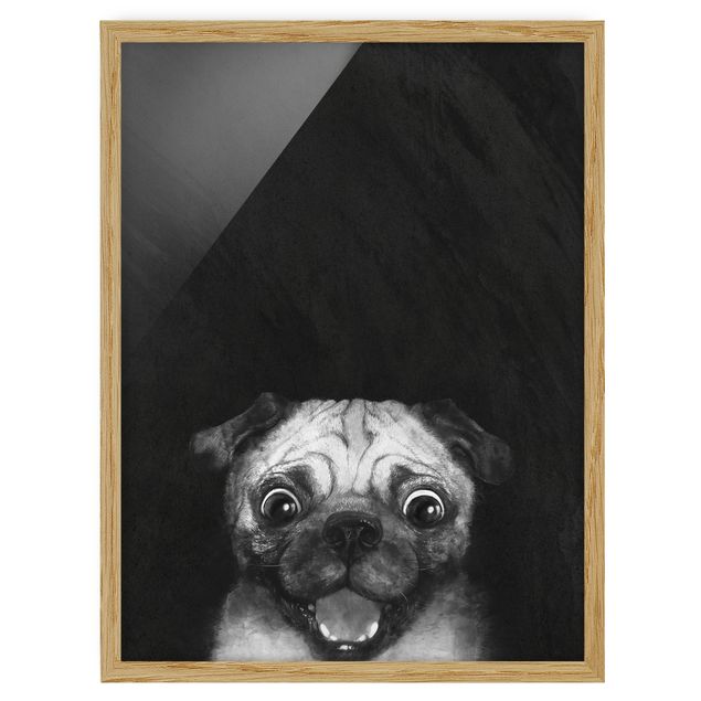Pósters enmarcados de animales Illustration Dog Pug Painting On Black And White