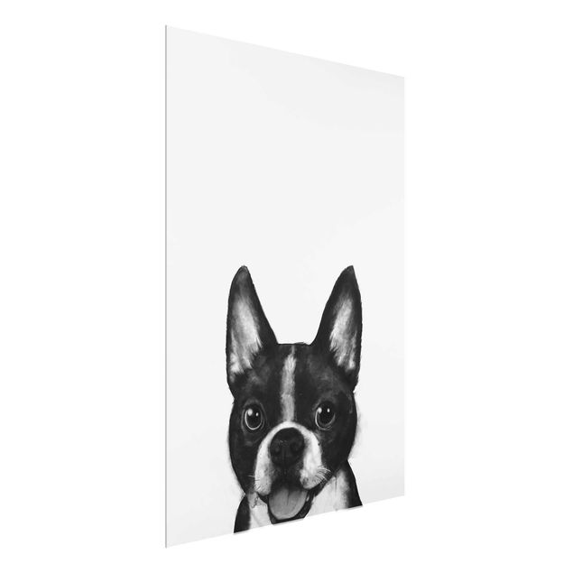 Cuadros de cristal blanco y negro Illustration Dog Boston Black And White Painting