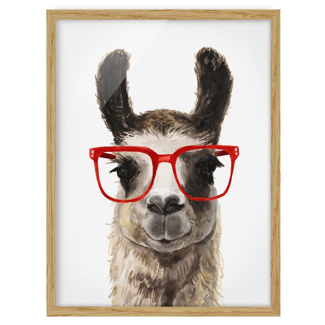 Cuadros decorativos modernos Hip Lama With Glasses II